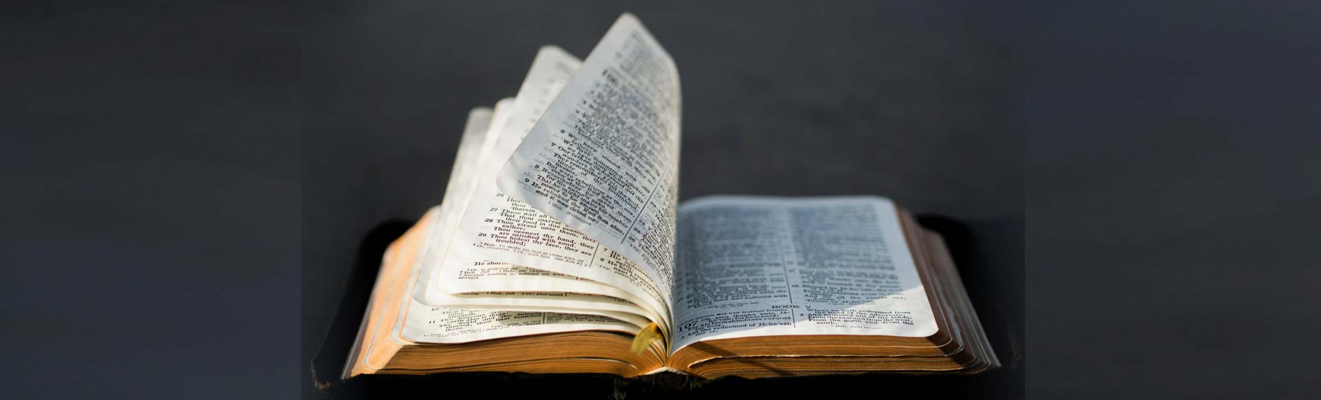Lighthouse Baptist Home - BIBLE