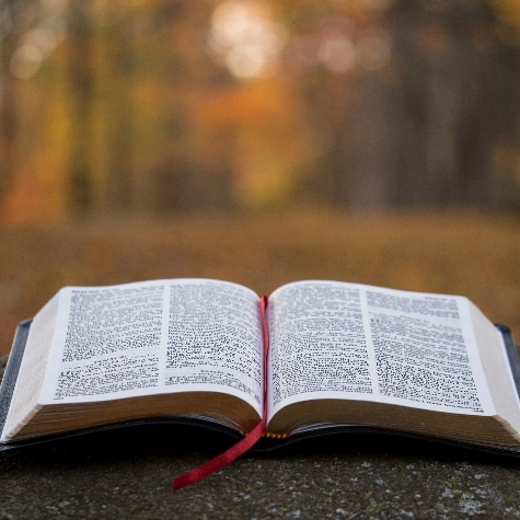 lighthouse baptist church eau claire wi sermons